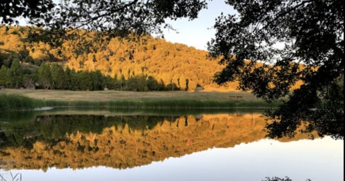 A serene lake reflecting golden sunlight on trees and hills, surrounded by lush greenery.