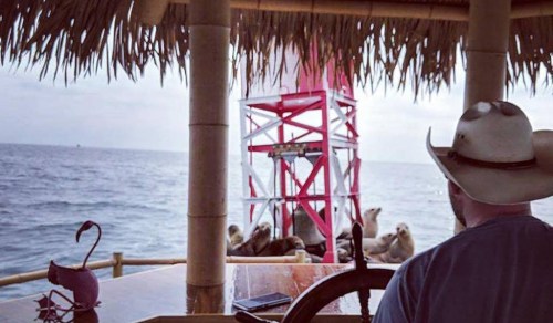 A person in a cowboy hat looks out at a group of sea lions on a platform in the ocean, with a tiki hut in the foreground.