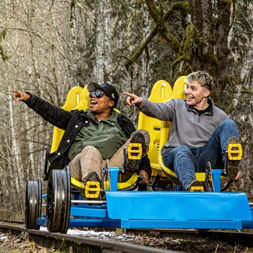 Two people joyfully riding a blue cart on a forested track, pointing and laughing together.