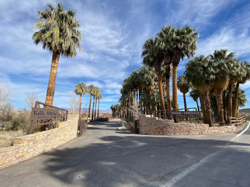 Entrance to a palm-lined road leading to a natural springs area, with stone walls and clear blue skies.