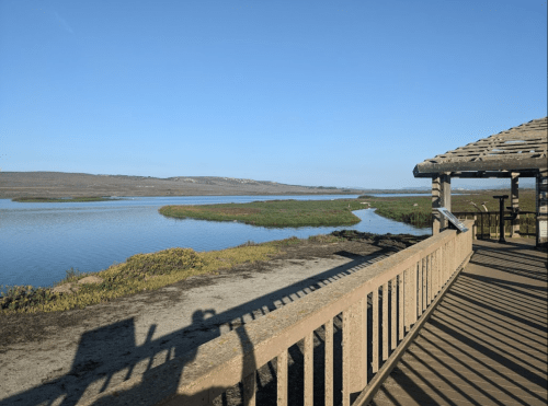 Scenic view of a calm river with green banks, seen from a wooden deck under a clear blue sky.