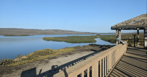A serene view of a river with lush greenery, seen from a wooden observation deck under a clear blue sky.