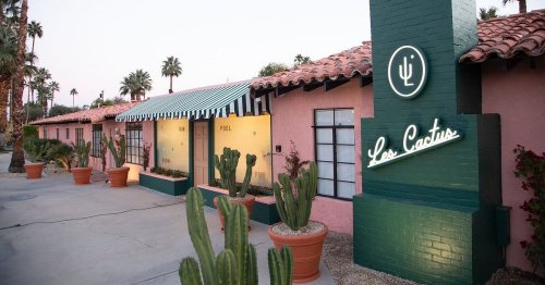 A colorful hotel exterior with a cactus sign, palm trees, and a pool area, surrounded by potted plants.