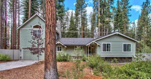 A modern green house surrounded by tall trees and a gravel driveway in a forested area.