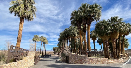 Entrance to Warm Springs, lined with tall palm trees under a blue sky.