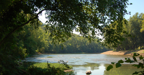 A serene river scene surrounded by lush greenery and trees, with gentle ripples on the water's surface.