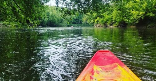 A kayak's bow on a calm river, surrounded by lush green trees and reflecting water.