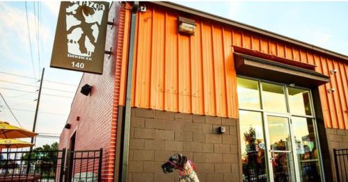 A dog stands outside a brewery with an orange and gray exterior, featuring a large sign and glass entrance.