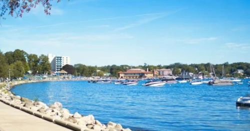 A scenic view of a marina with boats on blue water, surrounded by trees and buildings under a clear blue sky.
