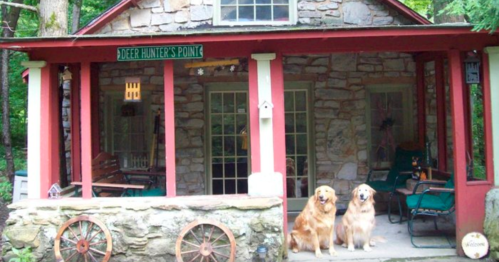 A cozy stone cabin with a red porch, featuring two golden retrievers sitting in front.