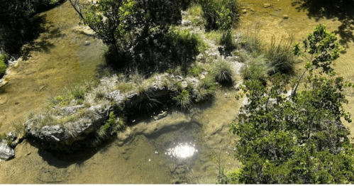 A serene riverbank scene with clear water, lush greenery, and sunlight reflecting on the surface.