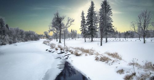 A serene winter landscape featuring snow-covered trees and a frozen river under a soft, glowing sky.