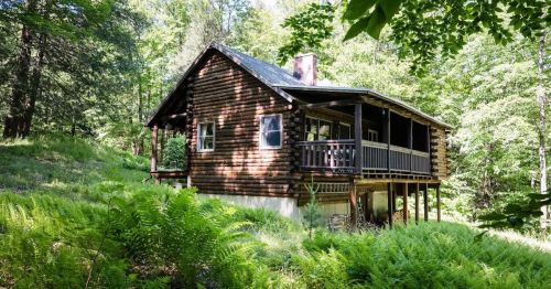 A rustic log cabin surrounded by lush greenery and ferns, set on stilts in a forested area.
