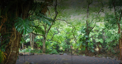 A serene outdoor labyrinth surrounded by lush greenery and trees, creating a peaceful natural setting.
