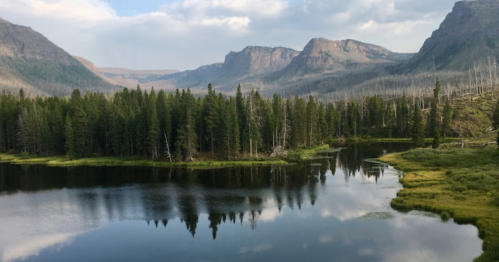 A serene landscape featuring a calm lake surrounded by lush trees and mountains under a cloudy sky.