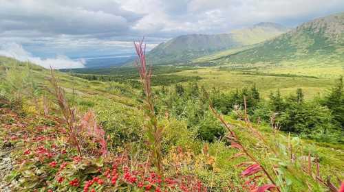 A scenic view of mountains and valleys, with vibrant greenery and colorful plants in the foreground under a cloudy sky.