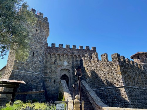 A stone castle with a tall tower and arched entrance, surrounded by greenery under a clear blue sky.