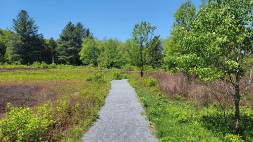 A gravel path winds through a lush green landscape with trees and shrubs under a clear blue sky.