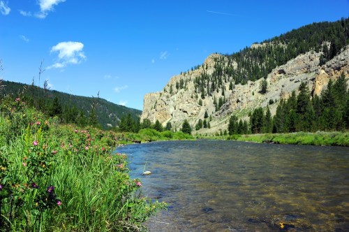 A serene river flows beside lush greenery and wildflowers, framed by rocky cliffs and a clear blue sky.