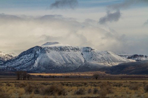 Snow-capped mountains rise above a grassy plain under a cloudy sky, with hints of sunlight illuminating the landscape.