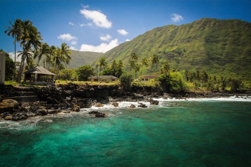 A scenic view of a tropical coastline with palm trees, clear turquoise water, and a lush green mountain in the background.