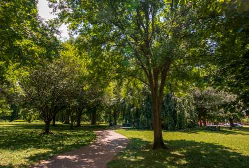 A sunny park scene with lush green trees lining a winding path through the grass.