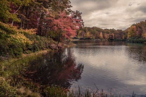 A serene lake surrounded by trees with autumn foliage, reflecting the colorful leaves under a cloudy sky.
