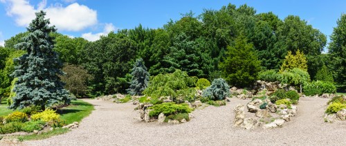 A scenic garden with diverse greenery, rock formations, and a clear blue sky, creating a tranquil outdoor space.