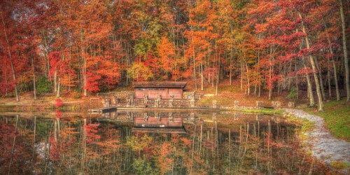 A serene autumn scene with vibrant fall foliage reflecting on a calm pond beside a rustic cabin.