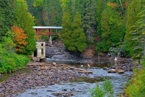 A serene river scene with a stone structure, logs, and vibrant trees in autumn colors, surrounded by lush greenery.