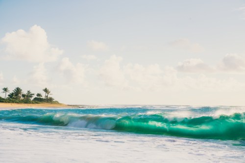 Waves crashing on a sandy beach with palm trees and a clear sky in the background.