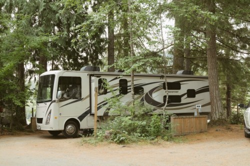 A parked RV surrounded by tall trees in a serene outdoor setting.