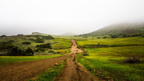 A winding dirt path leads through a foggy green landscape, with hikers visible in the distance.