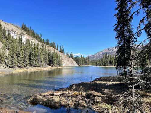 A serene lake surrounded by evergreen trees and mountains under a clear blue sky.