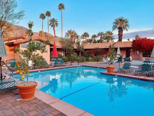 A serene pool surrounded by palm trees and colorful plants, with lounge chairs and red umbrellas in a sunny setting.