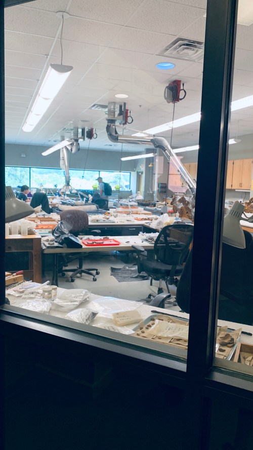 A view through a glass window into a busy laboratory filled with tables, tools, and various materials for research.