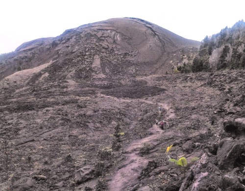 A rocky landscape with a volcanic mountain in the background and a trail leading through sparse vegetation.