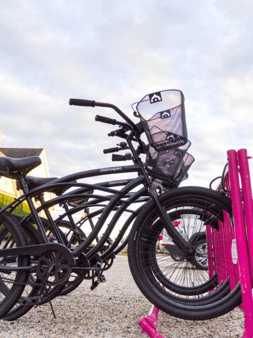 A close-up of black bicycles parked, featuring a pink bike rack and a basket on one of the bikes.