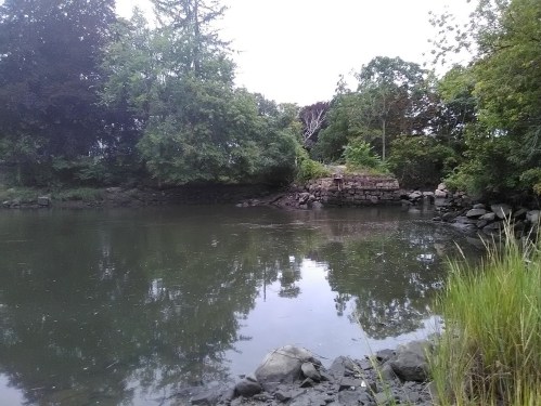 A calm river scene surrounded by trees, with a rocky shore and reflections on the water's surface.