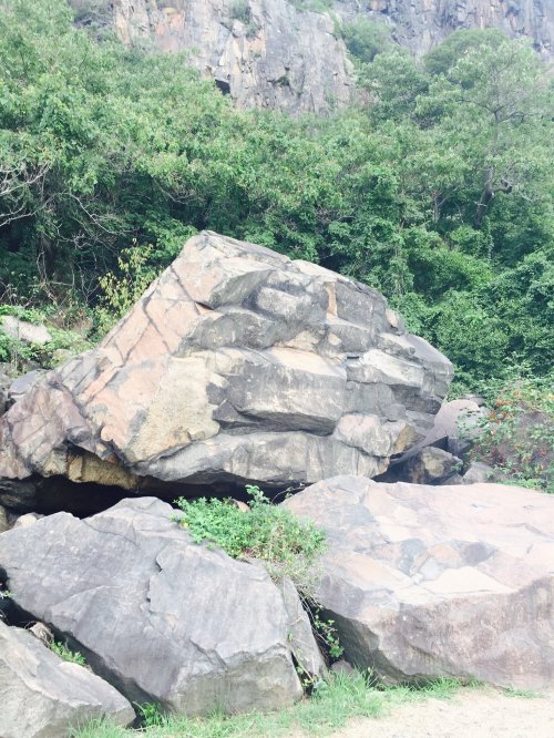 A large, irregular rock sits among smaller stones, surrounded by lush greenery and a rocky hillside.