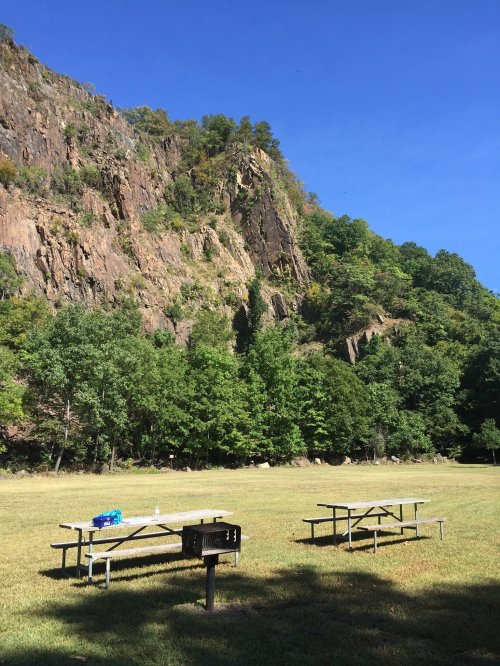 A grassy area with picnic tables and a grill, surrounded by a rocky cliff and lush green trees under a clear blue sky.