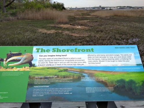 Sign titled "The Shorefront" describing ecosystems and wildlife in a coastal area, with a view of marshland in the background.