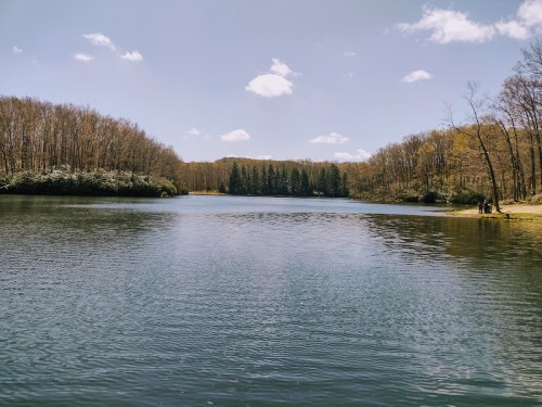 A serene lake surrounded by trees under a clear blue sky with fluffy clouds.