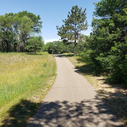 A winding path through a grassy area, bordered by trees under a clear blue sky.