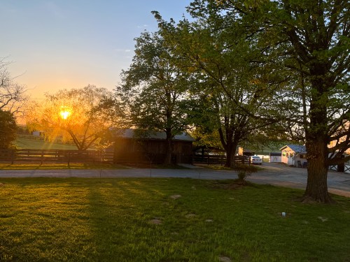 A serene sunset over a rural landscape, with trees, a barn, and a grassy area illuminated by warm golden light.