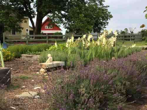 A serene garden with lavender, tall flowers, and a stone figure, set against a backdrop of houses and trees.
