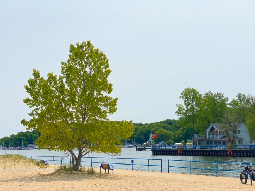 A sandy beach with a green tree, a calm river, and houses along the shore under a clear sky.