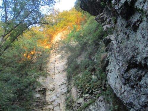 A rocky cliff surrounded by lush greenery, with sunlight illuminating the top of the cliff.