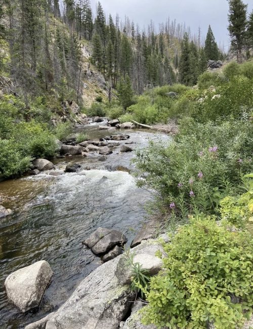 A serene river flows through a lush green landscape, surrounded by rocky banks and distant trees.