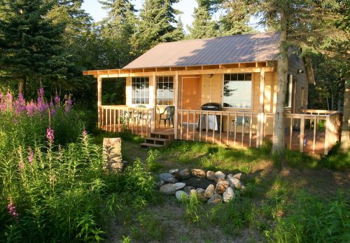 A cozy wooden cabin surrounded by greenery and wildflowers, with a porch and a small fire pit in front.